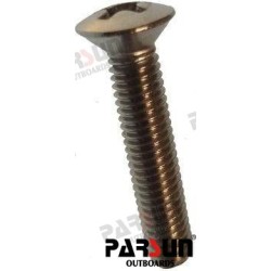 SCREW M5X25