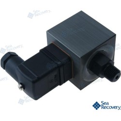 INTERREPTOR DE PRESIÓN LP 6PSI DIN 1/4"N