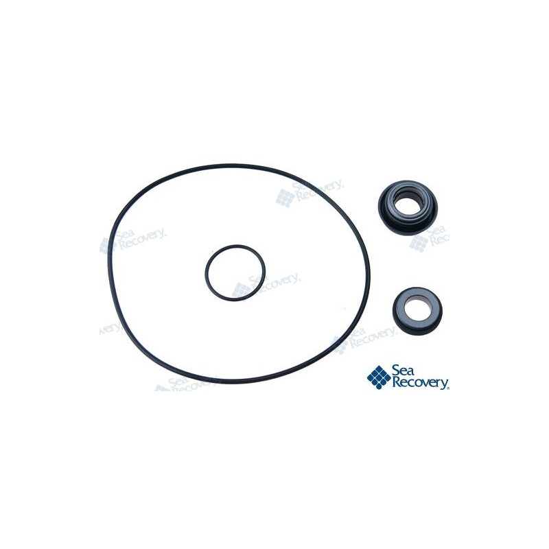 SEAL KIT BOOSTER PMP N200