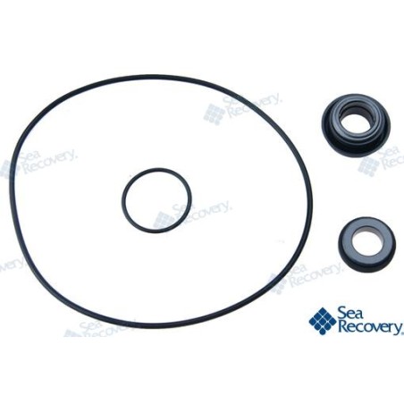 SEAL KIT BOOSTER PMP N200