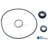 SEAL KIT BOOSTER PMP N200