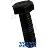TORNILLO TAPA COLECTOR