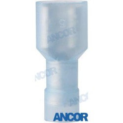 TERMINALES NYLON