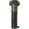 TORNILLO