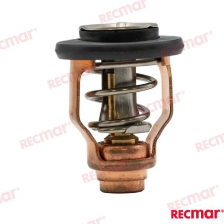 TERMOSTATO 60º