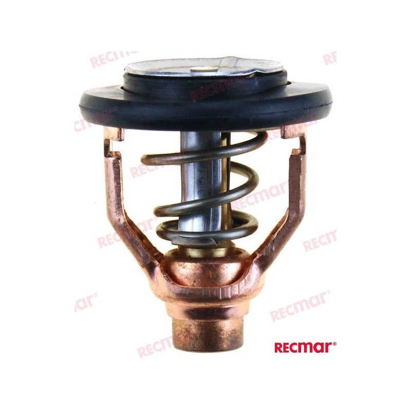 TERMOSTATO YAMAHA 60ºC
