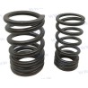 SPRING: VALVE 454PM 1988-97