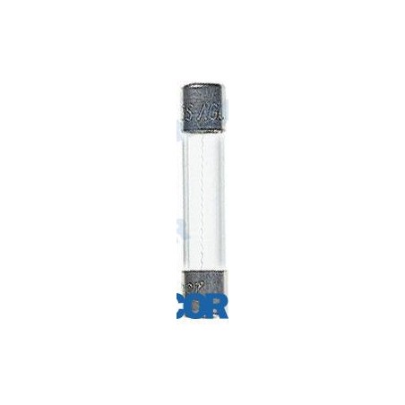 FUSIBLES AGC 10  AMP. (5)