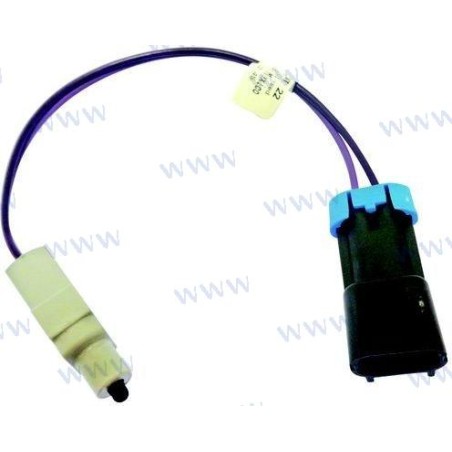 MICRORRUPTOR