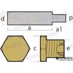 ANODO CATERPILLAR C/TAPON