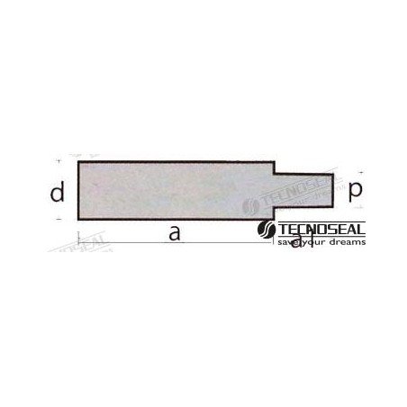 ANODO VM TEN02060T