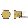 TAPON ANODO VM TEN02060T