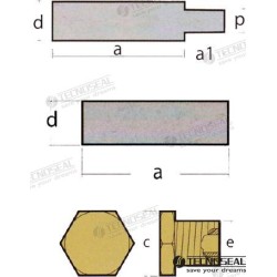 KIT ANODO FORD C/TAPON