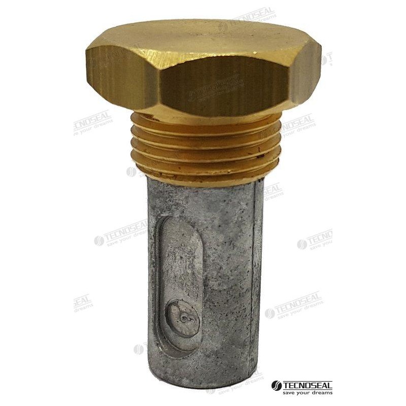 ANODO RENAULT C/TAPON