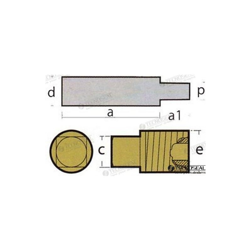 ANODO SCANIA COMPLETO ZINC