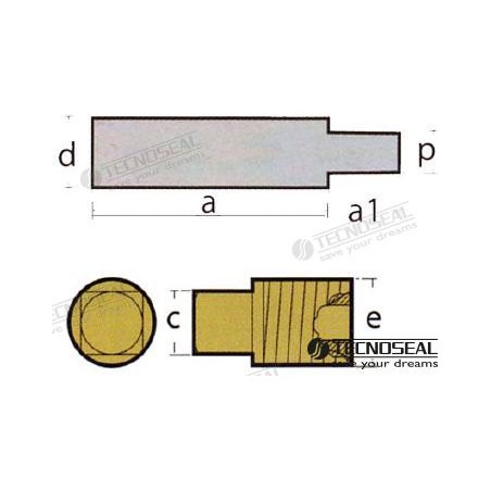 ANODO SCANIA COMPLETO ZINC