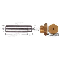 ANODO PARA LOMBARDINI ZINC Ø 15MM