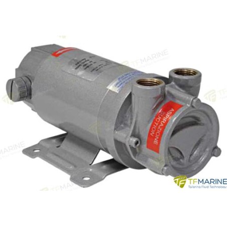 BOMBA AUTO-ASPIRANTE  A 60 24V DC 0,18KW