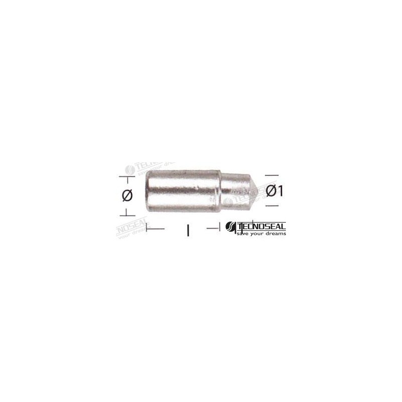 ANODO LOMBARDINI ZINC TEN02351T