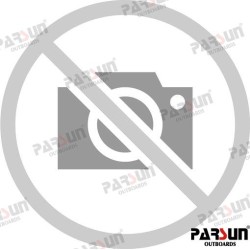 MOTOR PARSUN 4T 300HP U (30") BLANCO CR