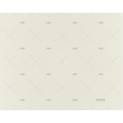 PANEL BG-VE-BG 6,3X800X600 KING PLASTIC CORPORATION