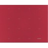 PANEL RD-NE-RD 6,3X800X600 KING PLASTIC CORPORATION