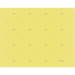 PANEL AM-NE-AM 6,3X800X600 KING PLASTIC CORPORATION