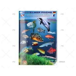 DESPLEGABLE PECES MEDITERRANEO ALEMAN