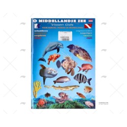 DESPLEGABLE PECES MEDITERRANEO HOLANDES