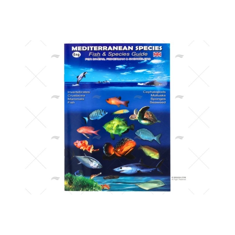 DESPLEGABLE PECES MEDITERRANEO INGLES