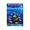 DESPLEGABLE PECES MEDITERRANEO INGLES