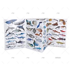 TABLILLA PECES MEDITERRANEO ALEMAN