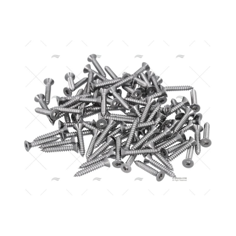 TORNILLO AISI316 4,2X25MM CAB.EXAG. 100U FORESTI SUARDI