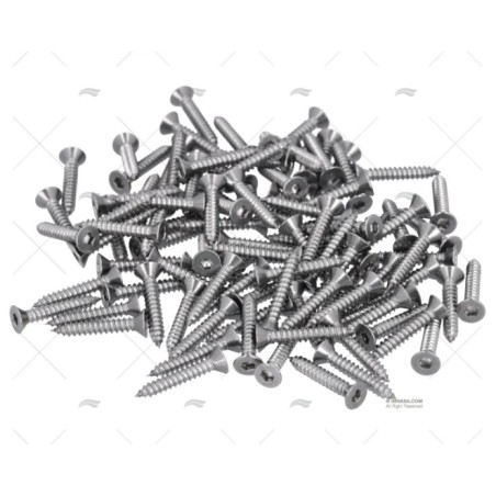 TORNILLO AISI316 4,2X25MM CAB.EXAG. 100U FORESTI SUARDI