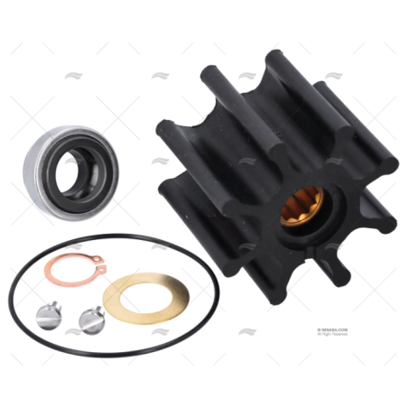 KIT REPARACION BOMBA F7B-5001-MC JOHNSON - SPX