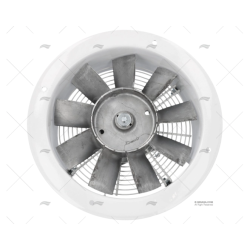 EXTRACTOR ELL 315/2 24V FLUJO "A-1" GIANNESCHI
