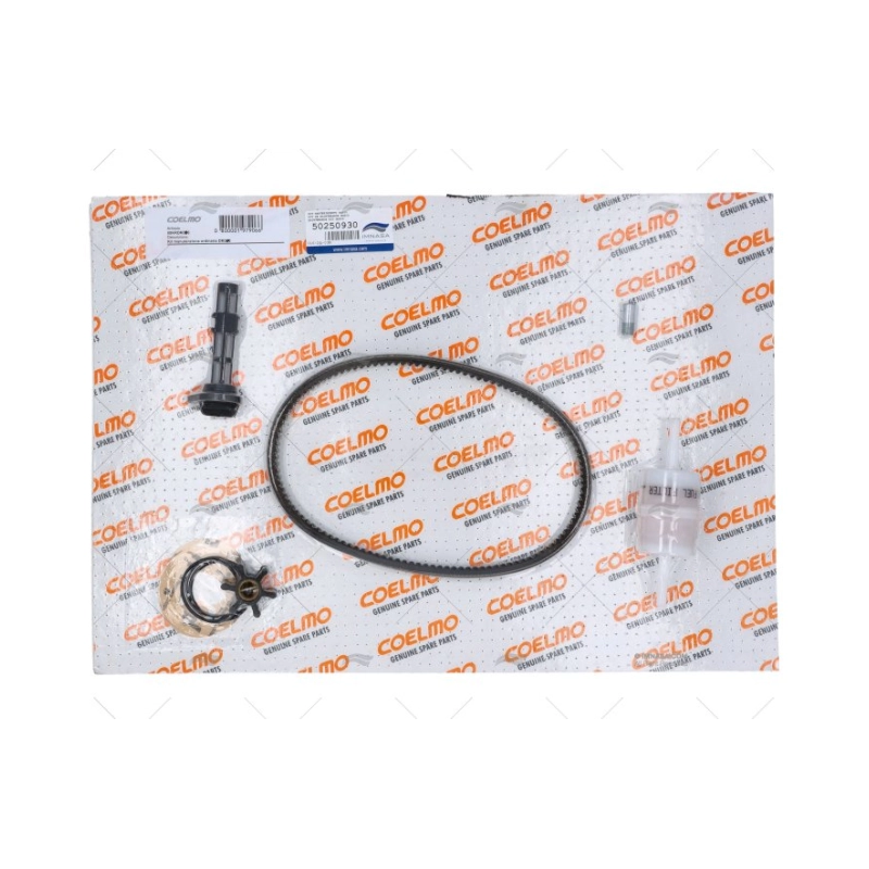 KIT MANTENIMIENTO DM300 COELMO