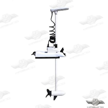 MOTOR  ELECTRICO PULSAR 12V GPS 152 CM.